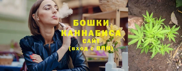стафф Сосновоборск