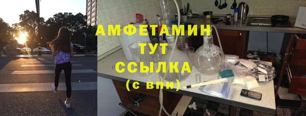 шишки Гусь-Хрустальный