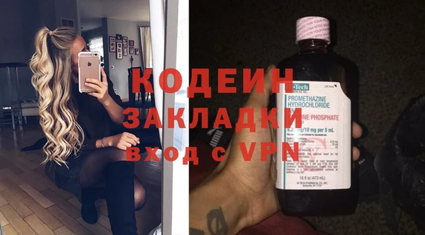 шишки Гусь-Хрустальный
