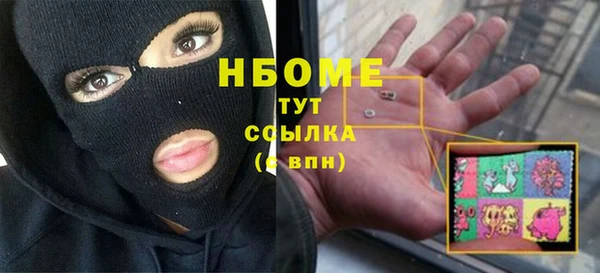 шишки Гусь-Хрустальный