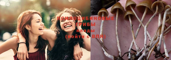 таблы Горнозаводск