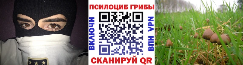 Галлюциногенные грибы мухоморы  Егорьевск 